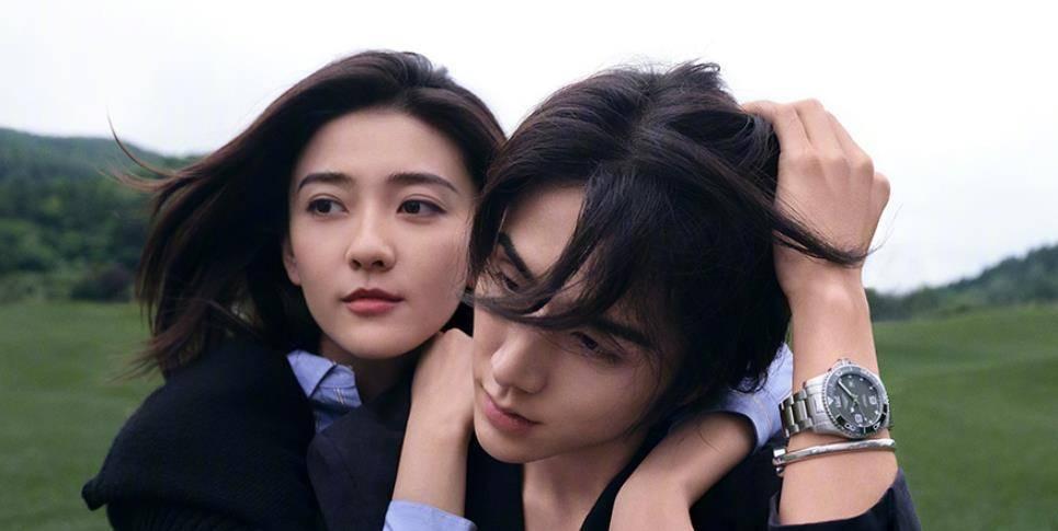 小狗救援行动选关版